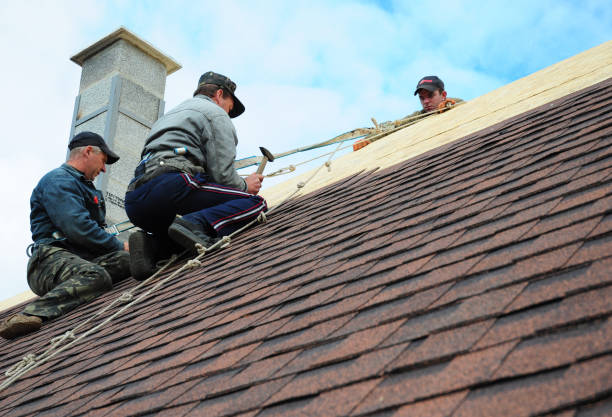 Professional Roofing Contractor in Temelec, CA